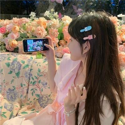 大象之梦